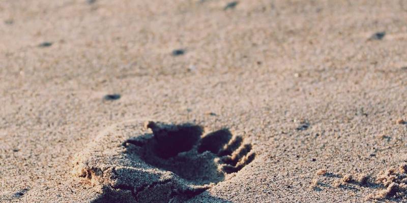 从石材设计到精密加工：人造石英石台面生产线自动化改造与质量控制标准解析