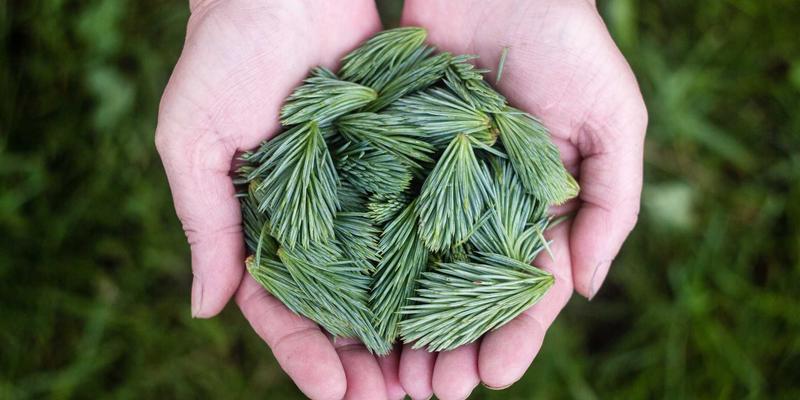 大理石工程装饰新境界：精密水刀切割技术与艺术拼接要点全解析