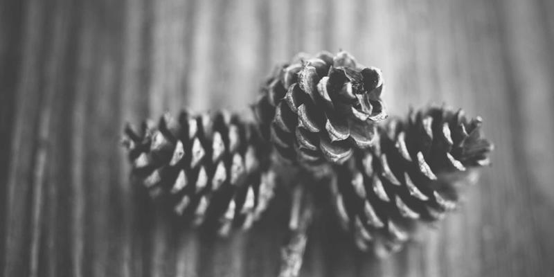 数字化设计与传统工艺的完美融合：花岗岩墓碑雕刻的现代实践与工程装饰新趋势