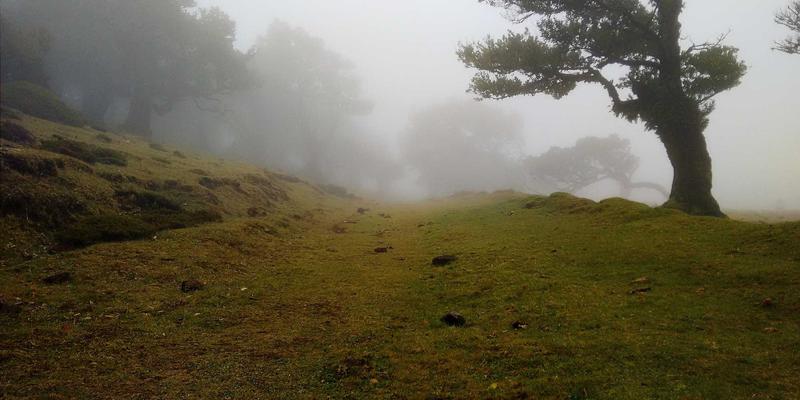 石材加工应用全解析:从花岗岩安装到工程装饰的实战指南