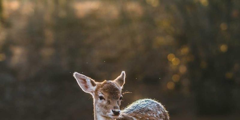 石材加工粉尘治理新路径：高效收集与资源化利用技术深度解析