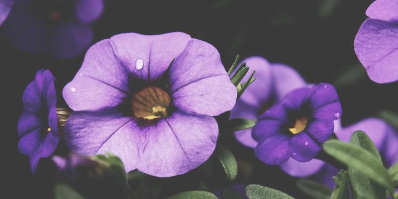 石材设计新思路：人造岩板与天然大理石的加工特性深度解析与设备适配指南