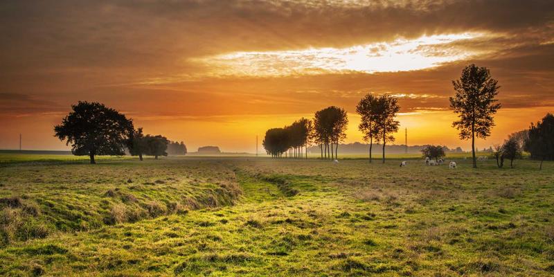 花岗岩与大理石的深度解析：从石材加工到专业安装的完整指南