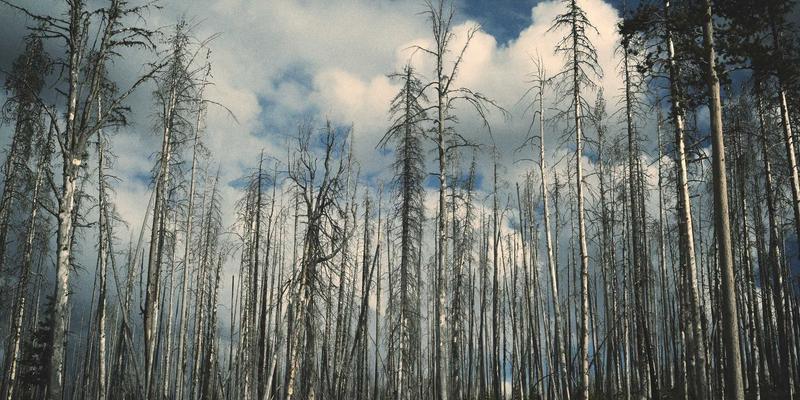 花岗岩安装革命：石材大板扫描与数字化排版如何将出材率提升至新高度