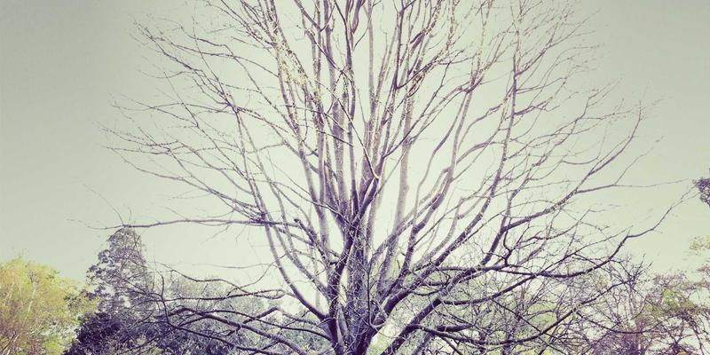 花岗岩工程装饰石材加工废水处理与循环利用系统设计全解析