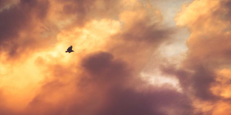 花岗岩的艺术与科技：现代石材加工与设计的全面解析